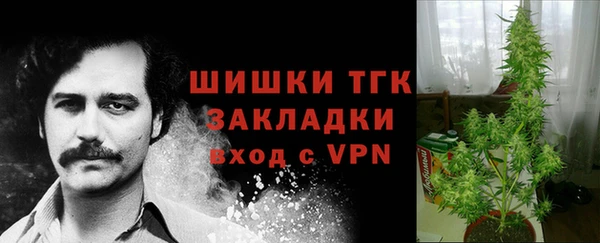 гидра Переславль-Залесский