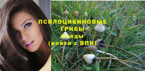 соль ск Осташков