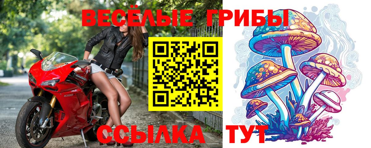Галлюциногенные грибы мицелий Верхняя Салда