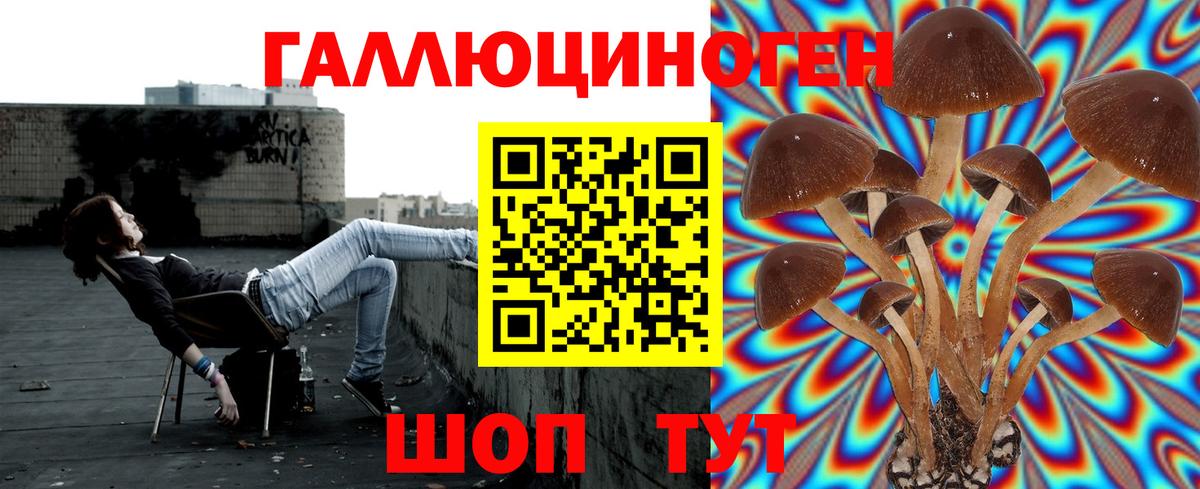 Псилоцибиновые грибы Psilocybe  купить наркоту  Верхняя Салда  Вход с VPN 